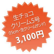 生チョコクリーム5号（15cm・生クリームサンド）　2,700円
